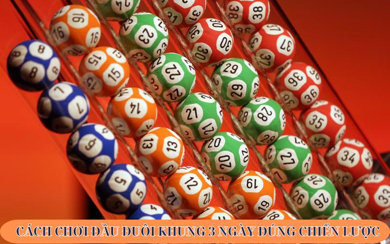 dau duoi khung 6 ngay mien phi kham pha co hoi dau tu thu vi va hieu qua 697dbd140ea8c