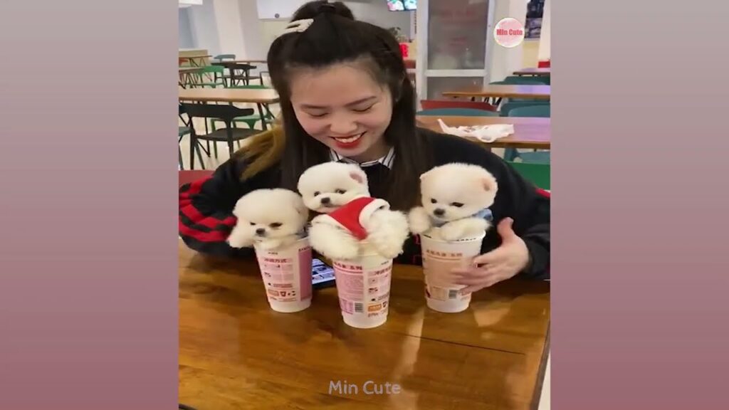 dogy gai xinh xu huong moi noi bat trong gioi tre viet va nhung gi ban chua biet 697d9e22e0e01