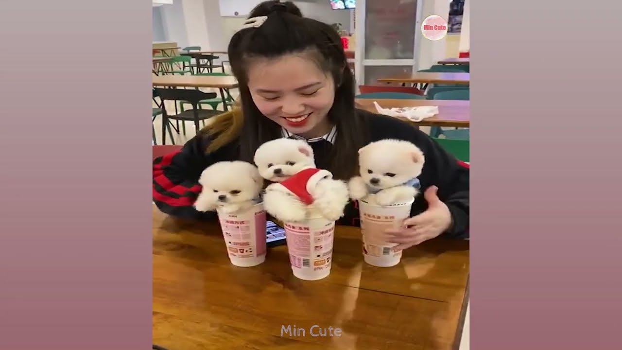 Dogy Gai Xinh - Xu Hướng Mới Nổi Bật Trong Giới Trẻ Việt và Những Gì Bạn Chưa Biết