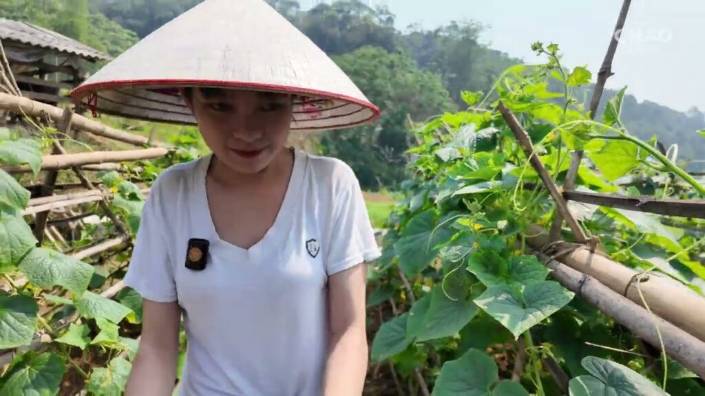 du em gai xinh xu huong gay sot mang xa hoi va nhung goc nhin da chieu 697d908dd0c22