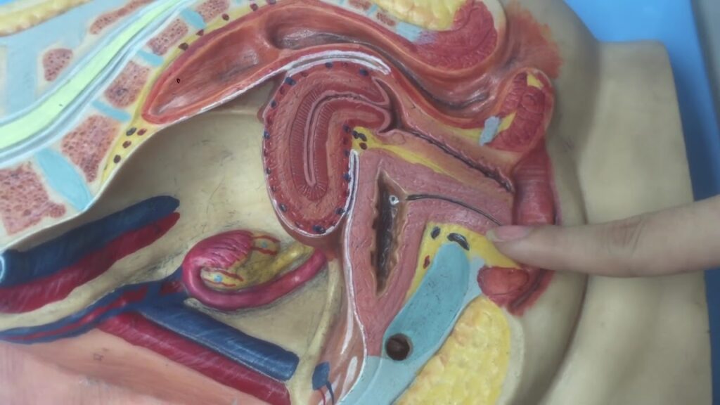 gai xinh chau au tu suong xu huong moi va nhung goc nhin da chieu 697daf0661e2e