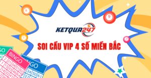 kham pha soi cau 247 mien phi bi quyet du doan chinh xac trong co bac 697dc0d454fb0