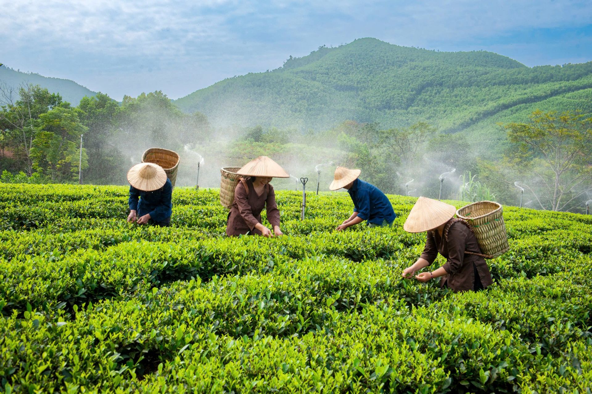 Nuôi dàn đề 36 số khung 3 ngày siêu chuẩn - Chiến thuật tối ưu cho các cao thủ lô đề