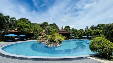 nuoi lo kep khung 5 ngay dep nhat an thong bi quyet thanh cong tu cach lua chon nuoi duong den chien luoc soi cau 697d02c23daf6