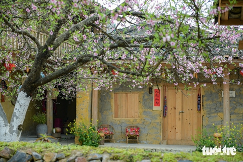 nuoi lo song thu khung 3 ngay chien luoc dau tu ben vung va sinh loi on dinh 697dbe7eb62fa