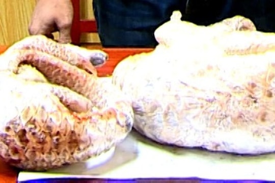 quay len gai xinh tam khong che nguy co hau qua va giai phap bao ve quyen rieng tu trong ky nguyen so 697d8a0a9b49d