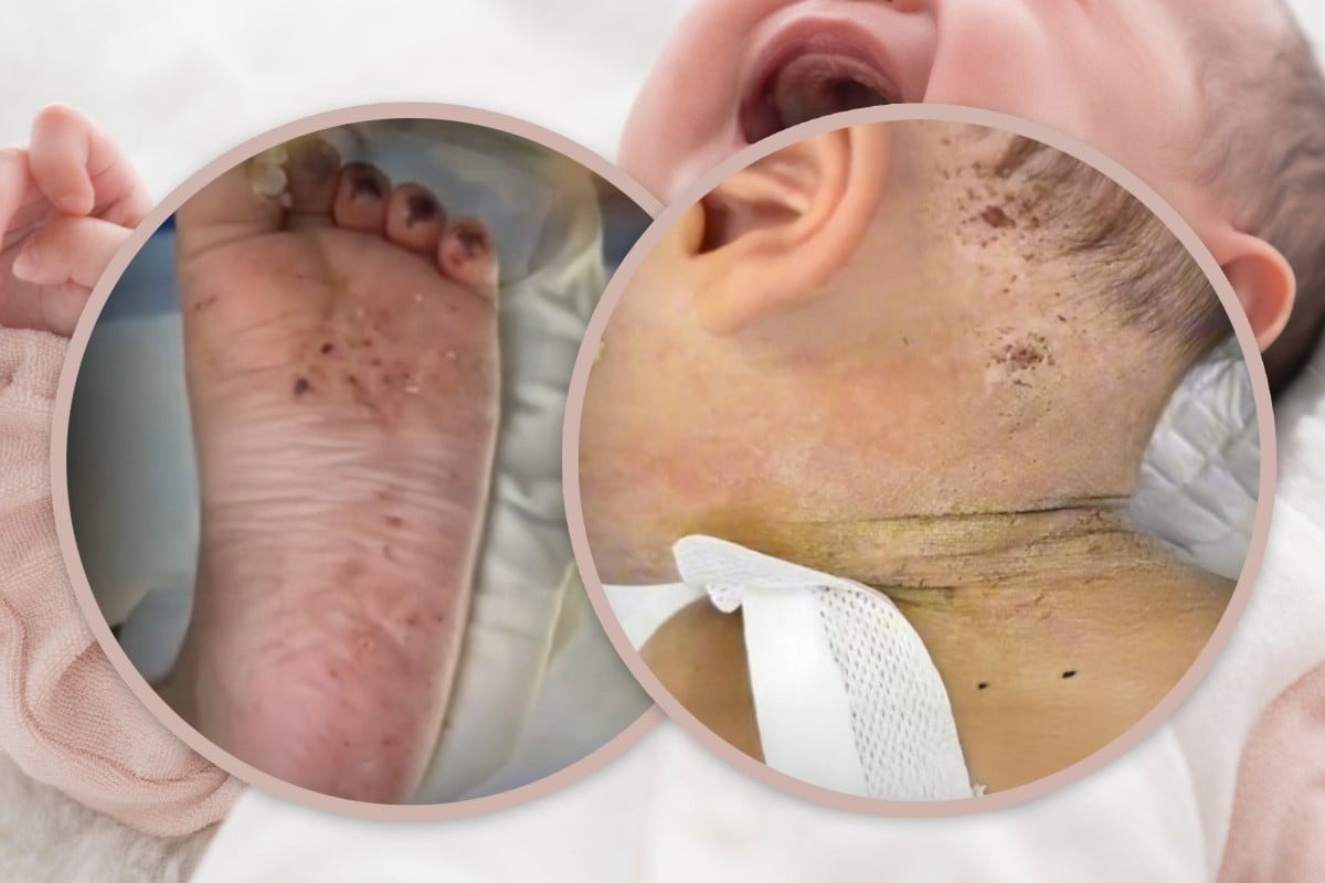 Vẻ đẹp quyến rũ của các nữ bác sĩ thú y - Góc nhìn mới về hình ảnh "vet mang gai xinh" đầy cảm hứng