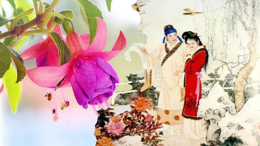 xinh gai co gi sai ve dep bi dinh kien va cuoc chien de khang dinh chinh minh 697daec80d8be